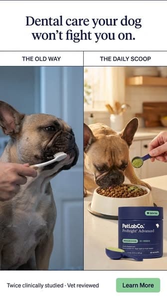 Keep their teeth clean WITHOUT a toothbrush!