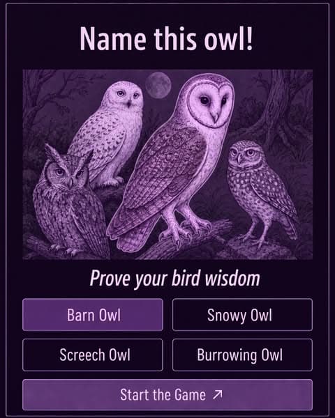 🕊Ornithology, but Bite-Sized!