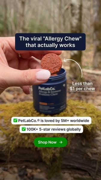 The daily chew that saved us this allergy season 🐶