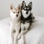 lifewithkleekai