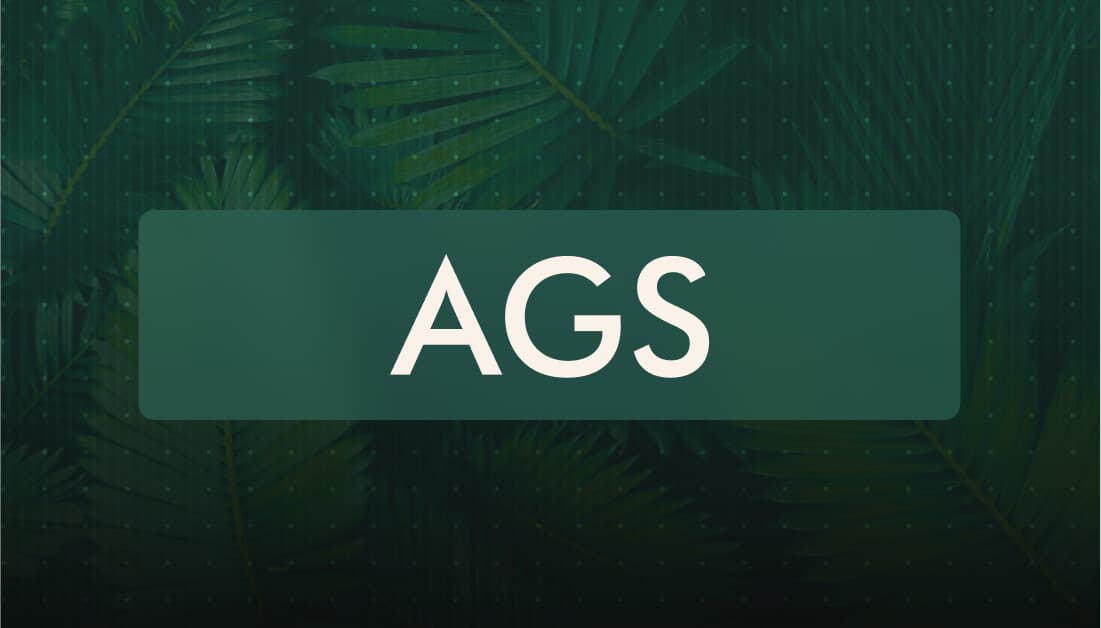 How AGS Replaced Three Creative Tools With One