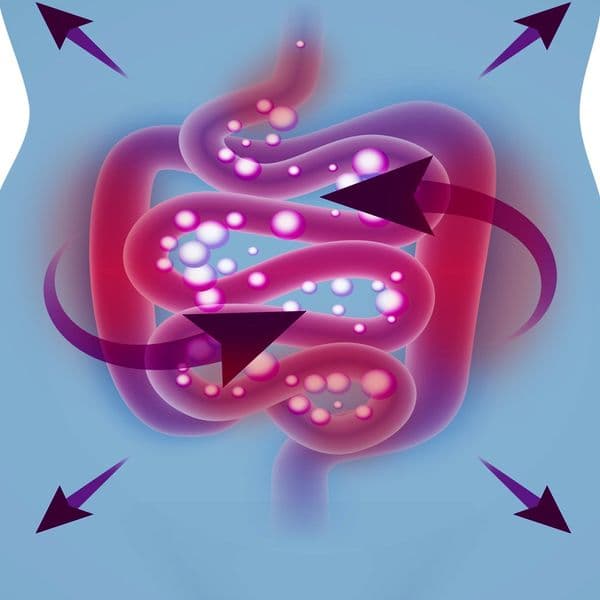 Get A Lighter, Gas-Free Tummy With Provitalize