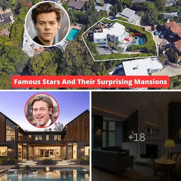 20+ Celebrities Mansion Has The Best Views In The City