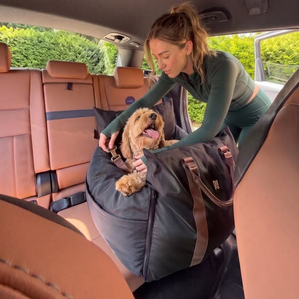 Doggy Car Seats