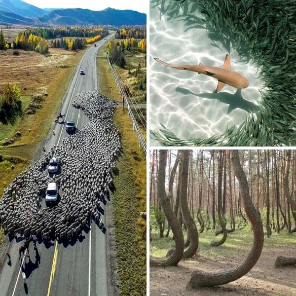 Eerie Nature Photos That Show Us The World Through A New Lens