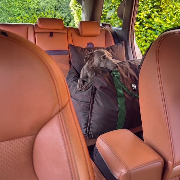 Doggy Car Seats