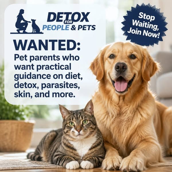 A Whole-Pet Approach to Wellness