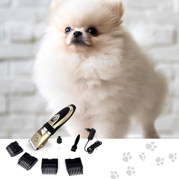 🐶 NUOVO! Set per la toelettatura di animali Groompy