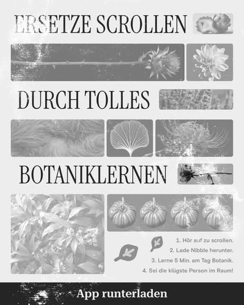 🔬 Biologie – aber in kleinen Häppchen!