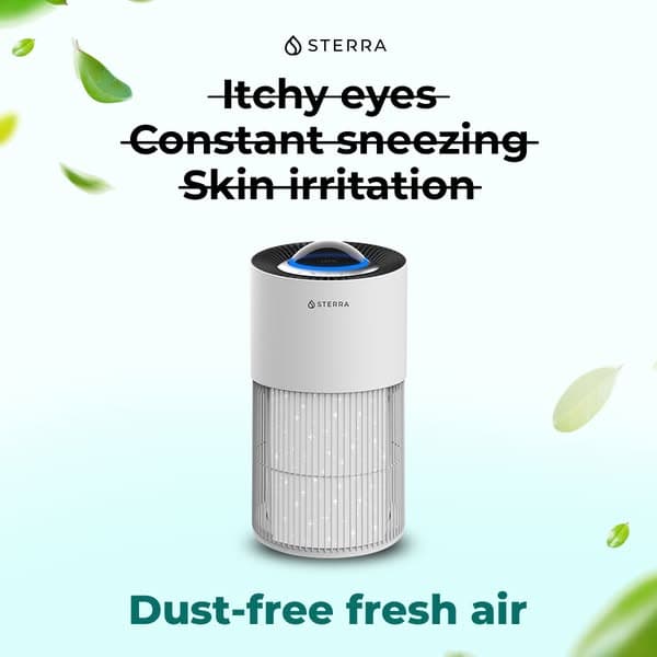 Turn Your Home Into an Allergen-Free Space