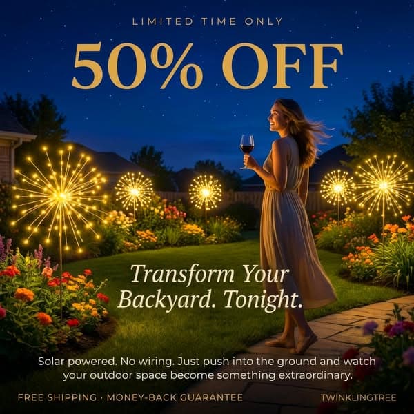 50% OFF - Limited Time Only