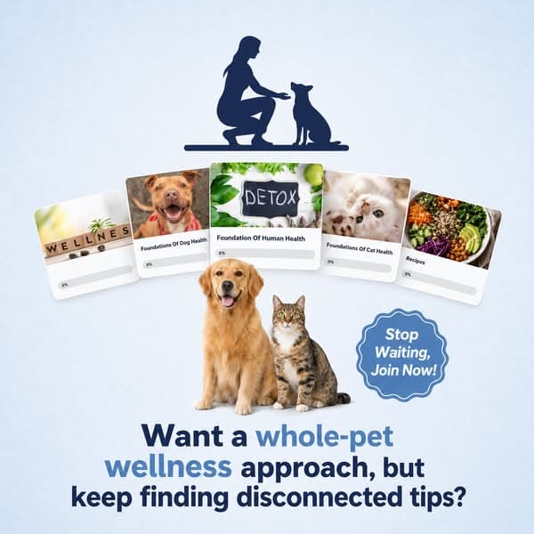 A Whole-Pet Approach to Wellness