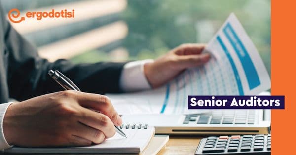 Senior Auditors