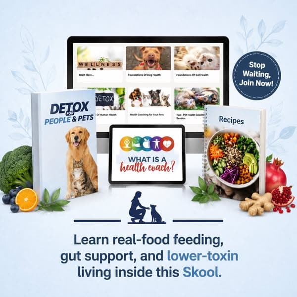 A Whole-Pet Approach to Wellness