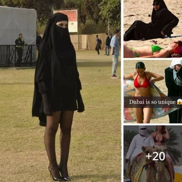 25+ Bizarre Things You Can Only Find in Dubai