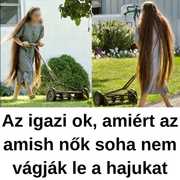 Furcsa dolgok, amiket nem tudunk az ámisok életéről.