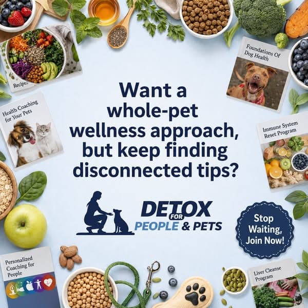 A Whole-Pet Approach to Wellness