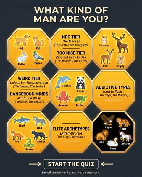 Understand Yourself Better