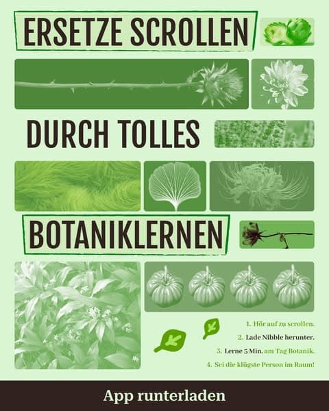 🔬 Biologie – aber in kleinen Häppchen!