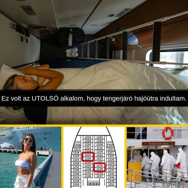 Több, mint 35 tény a tengerjáró hajóutakról, ami miatt újragondoljuk a következő nyaralásunkat.