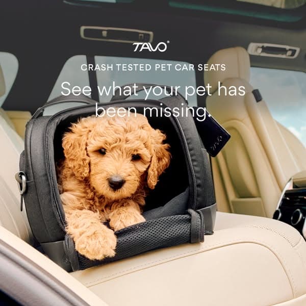 Crash-Tested Pet Car Seat