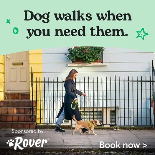 Pet care for the Victoria Day weekend