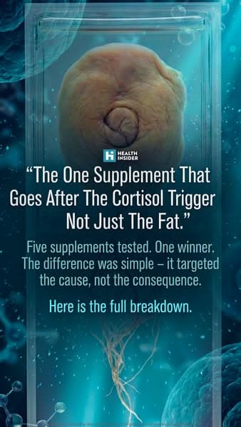 Stress Belly? Read This First