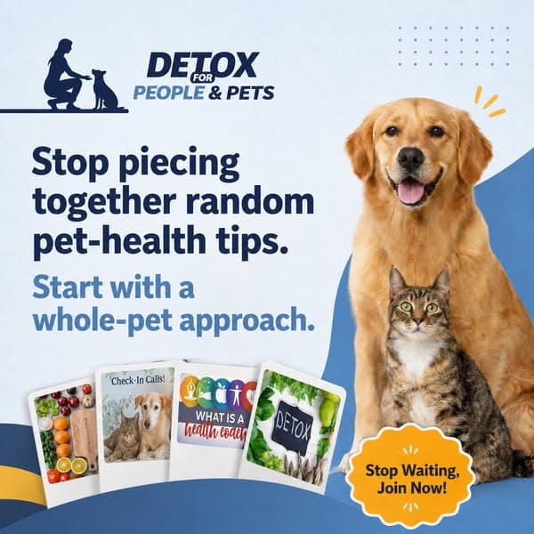 A Whole-Pet Approach to Wellness