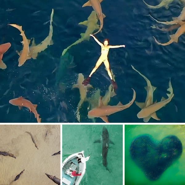 Plus de 40 Photos Prises Avec Un Drone Qui Ouvrent Une Fenêtre Unique Sur Le Monde