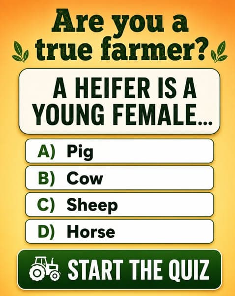 π©βπΎ Only True Farmers Can Pass This Rural Slang Quiz