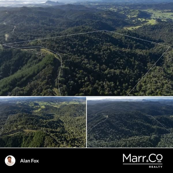 Peaceful, Private Bush Block with Expansive Views