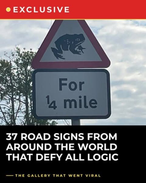35+ Real Road Signs Around The World That Defy All Logic
