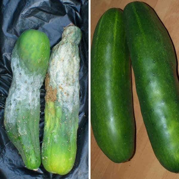 34+ De Trucuri Pentru A Stoca Alimente Și A Le Face Să Dureze Mai Mult