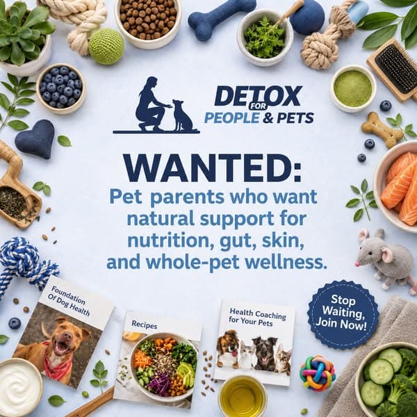 A Whole-Pet Approach to Wellness