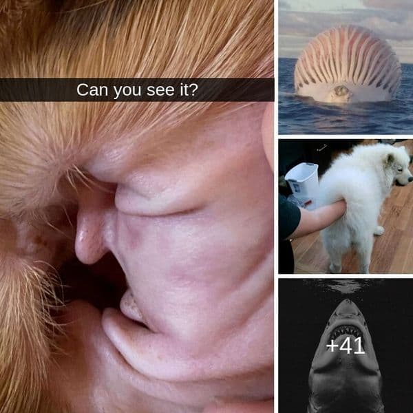 44+ Unedited Photos That Need A Second Look