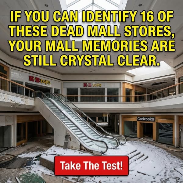 Dead Mall Stores Quiz Agent