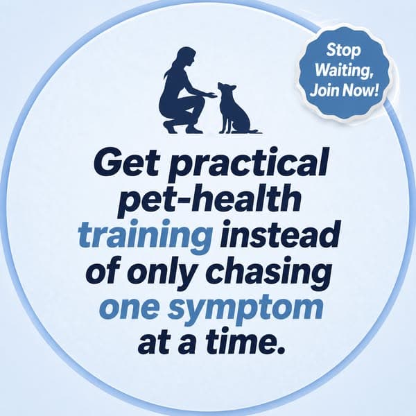 A Whole-Pet Approach to Wellness