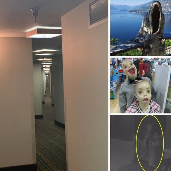 38+ Fotografii Înfricoșătoare Cu Câteva Momente Serios Înspăimântătoare