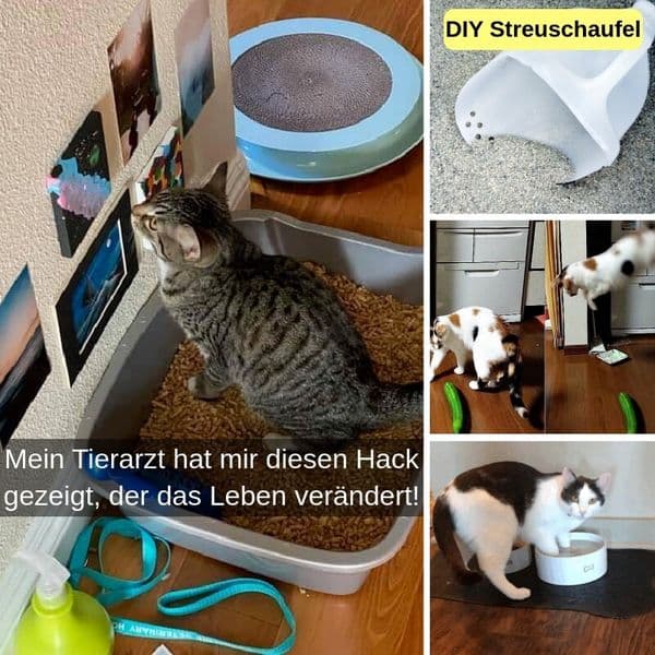34+ Einfache Und Nützliche Hacks für Katzeneltern