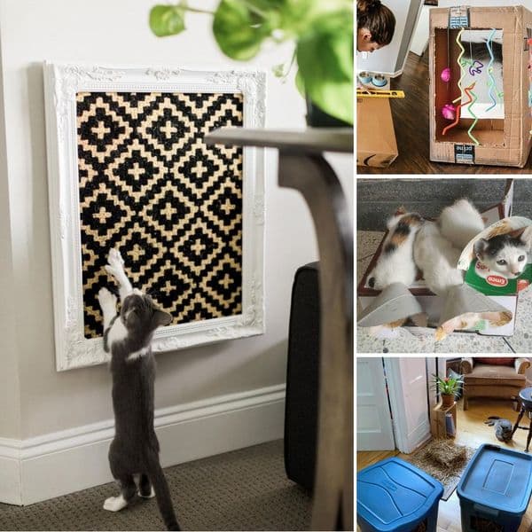 DIY Cat Toys That Will Help Keep Any Cat Happy