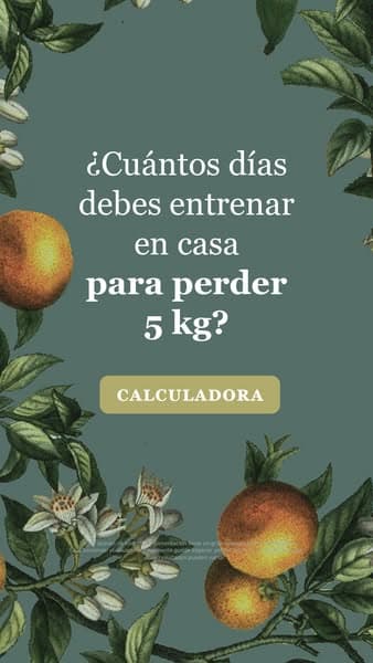 ¡Empezar ahora! 🚀