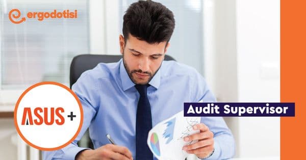 Audit Supervisor