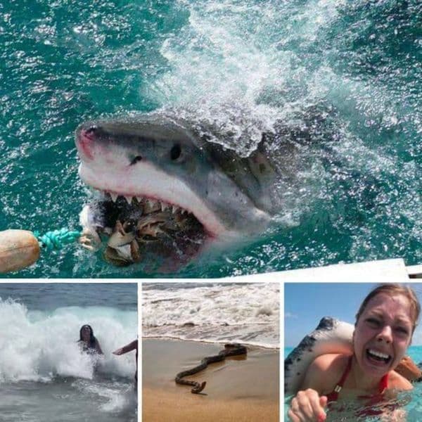 35+ Beach Fails