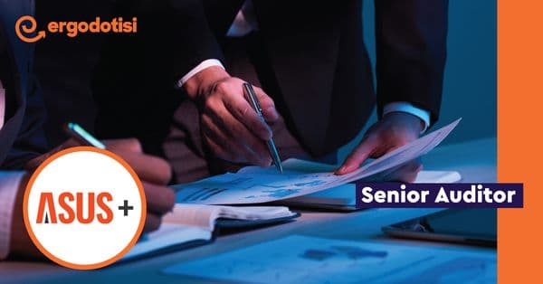Senior Auditor