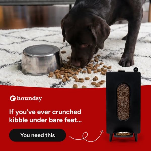 Portion-Controlled Feeder with 400+ 5-Star Reviews