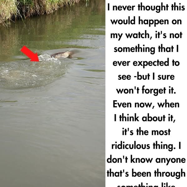 A Ranger Can't Believe His Eyes When He Sees This Creature Lurking