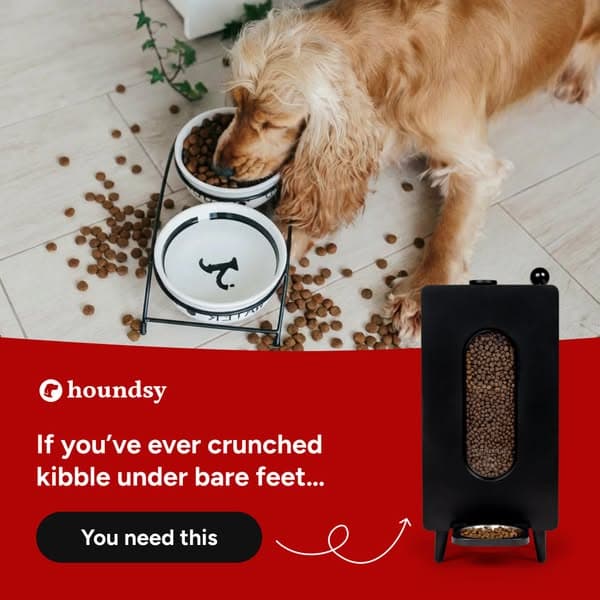 Portion-Controlled Feeder with 400+ 5-Star Reviews