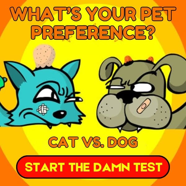 Think You Know Your Pet Preference? 🐕🐈 This Test Will Reveal the Truth! 💡 Take the Test NOW!