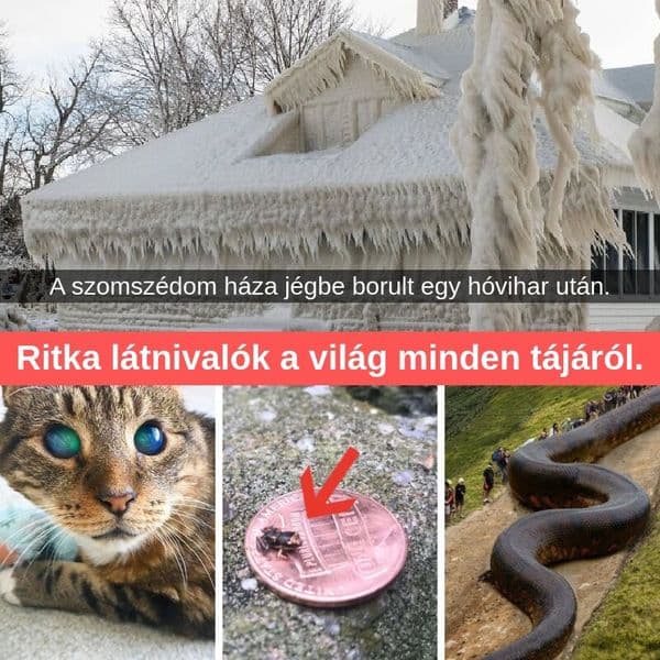 Több, mint 39 lenyűgöző fotó ritkán látott dolgokról.