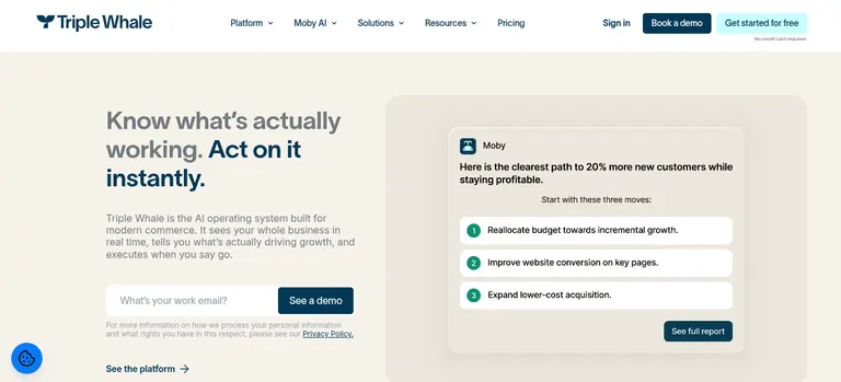 Screenshot of Triple Whale homepage.